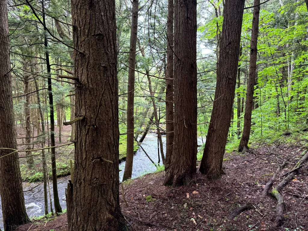 Property at 1.5 Jones Road, German, NY 13801