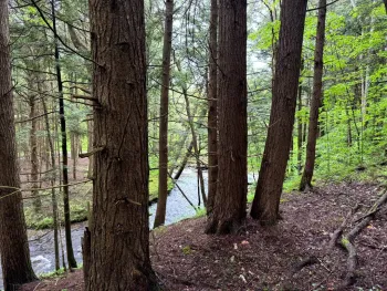 Property at 1.5 Jones Road, German, NY 13801