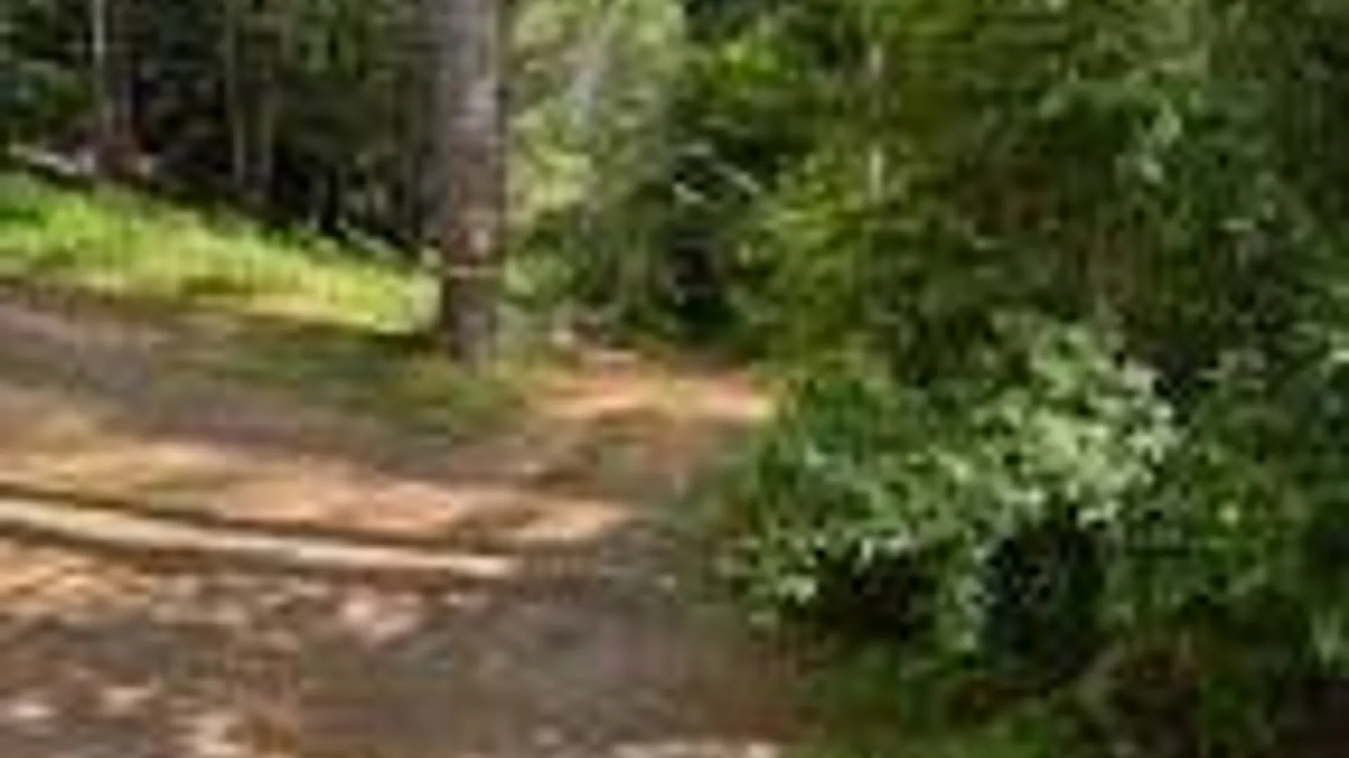 Property at 8 Read Drive, Lake Luzerne, NY 12846 49