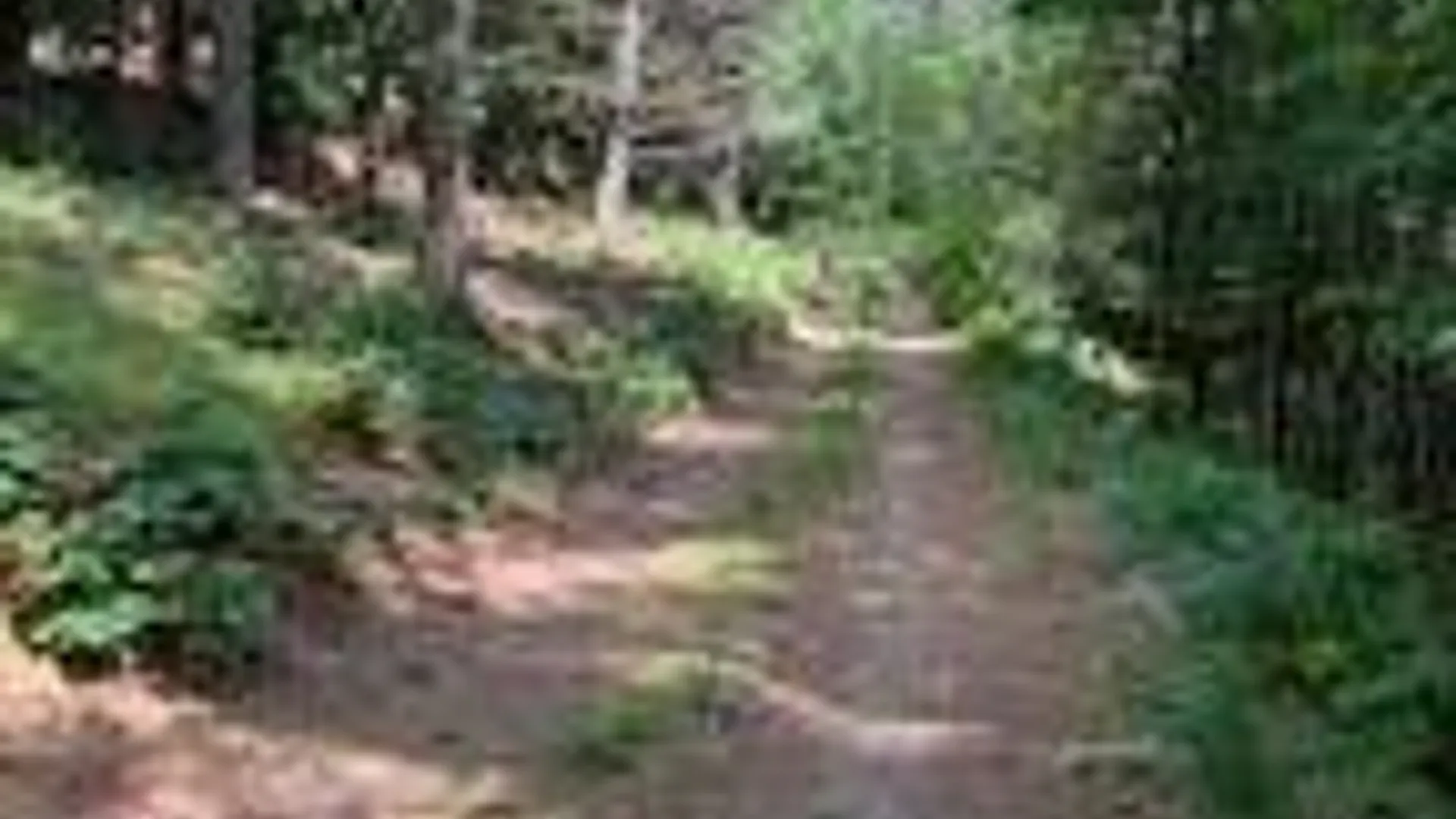 Property at 8 Read Drive, Lake Luzerne, NY 12846 50