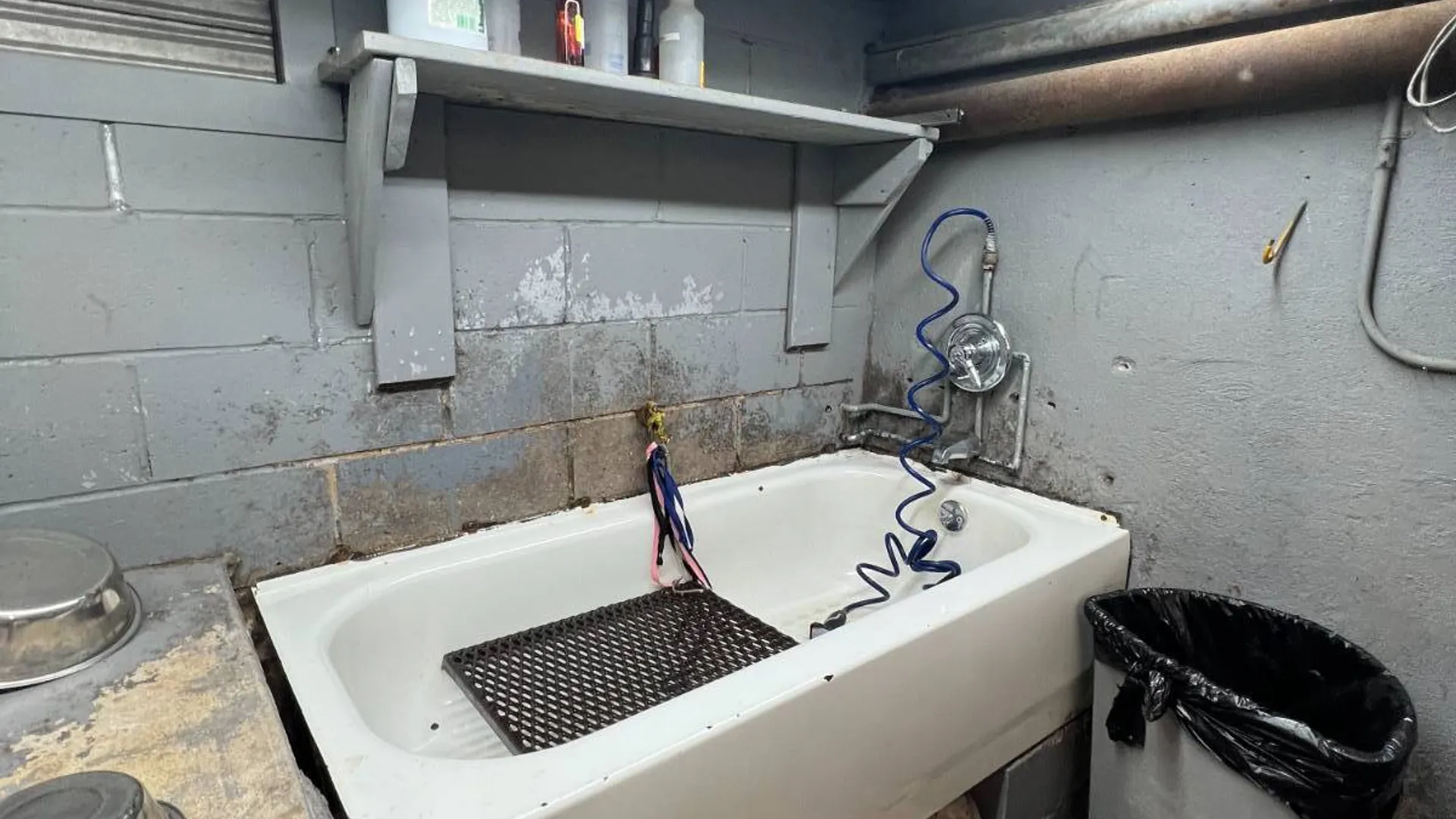 Property at 9518 Ave L, Brooklyn, NY 11236 13