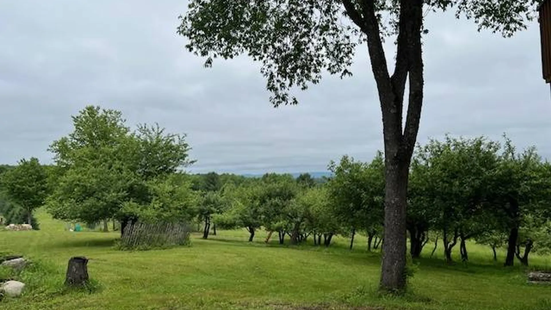 Property at 220 Belden Corners Rd, Dolgeville, NY 13329 8
