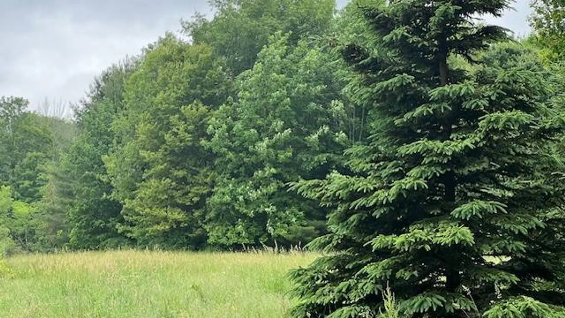 Property at 220 Belden Corners Rd, Dolgeville, NY 13329 40