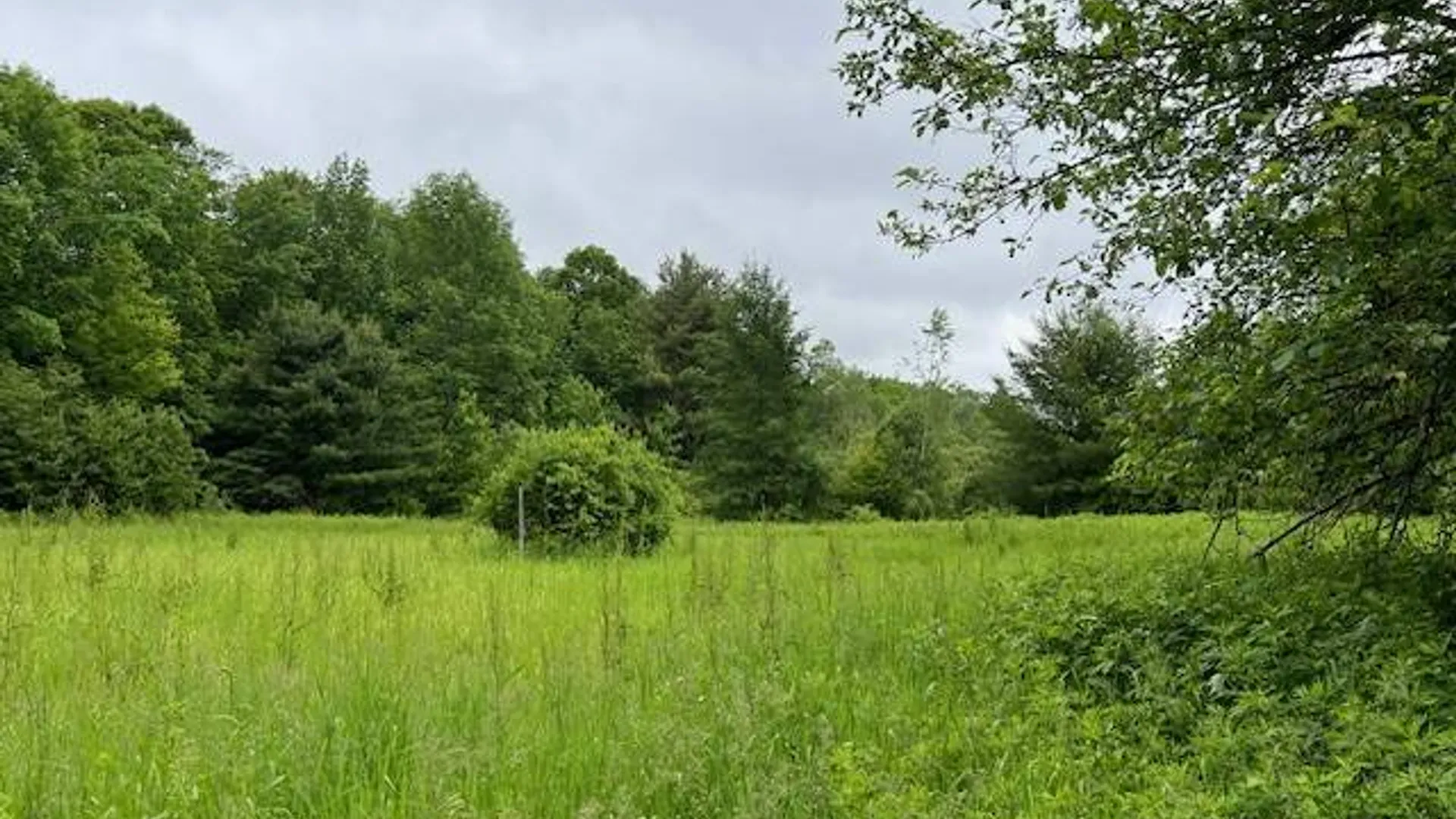 Property at 220 Belden Corners Rd, Dolgeville, NY 13329 41