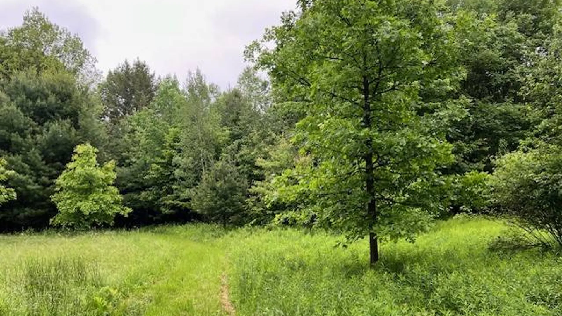 Property at 220 Belden Corners Rd, Dolgeville, NY 13329 39