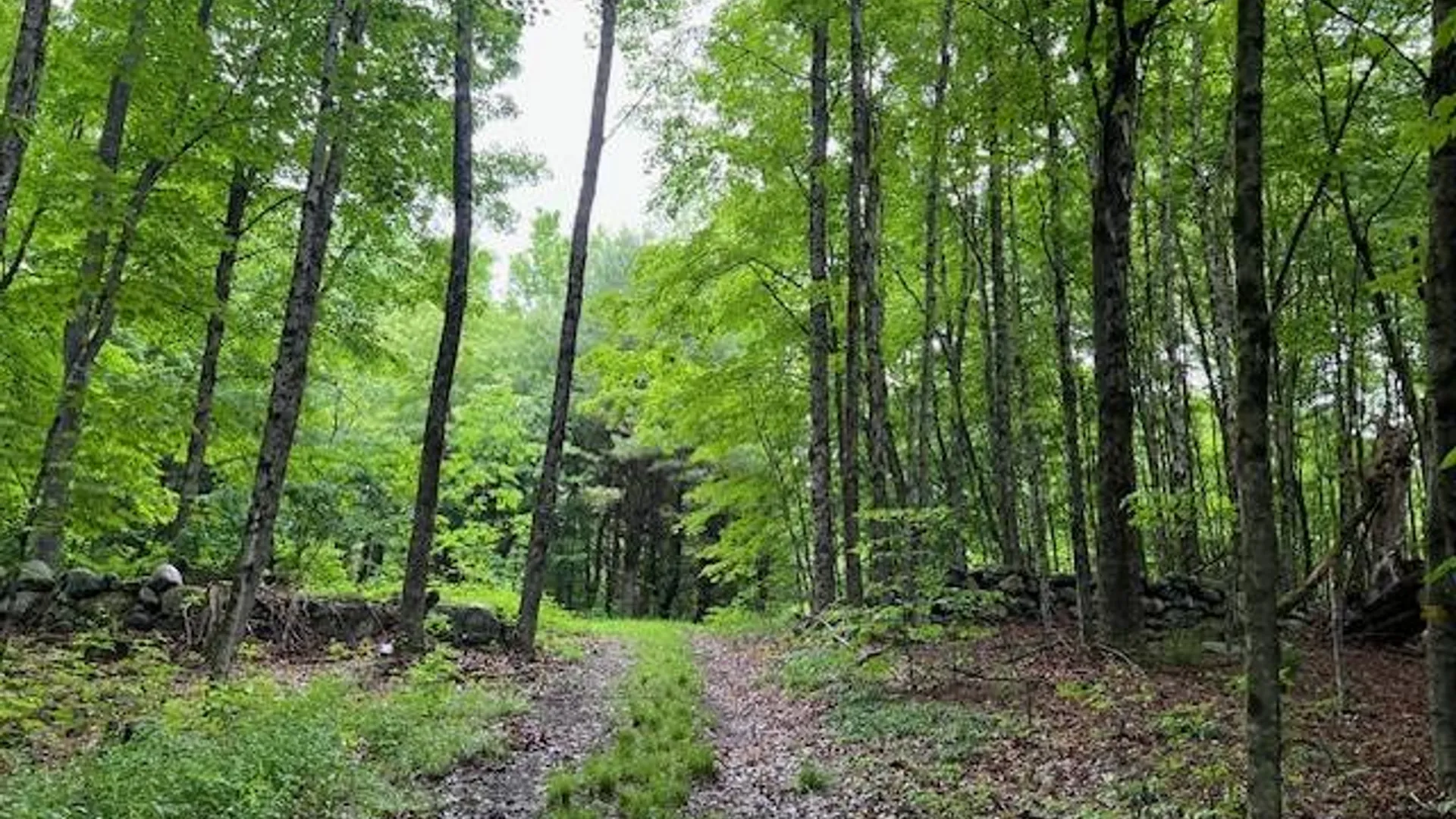Property at 220 Belden Corners Rd, Dolgeville, NY 13329 43