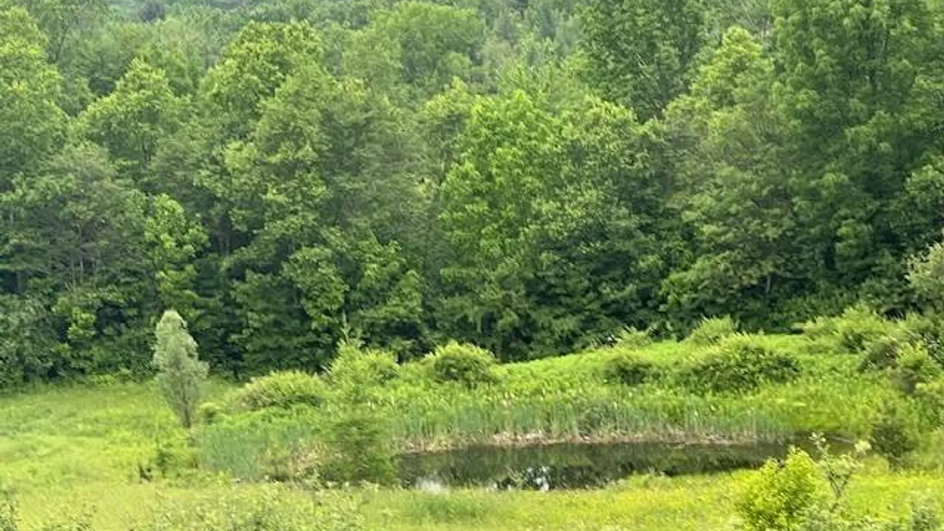 Property at 220 Belden Corners Rd, Dolgeville, NY 13329 49