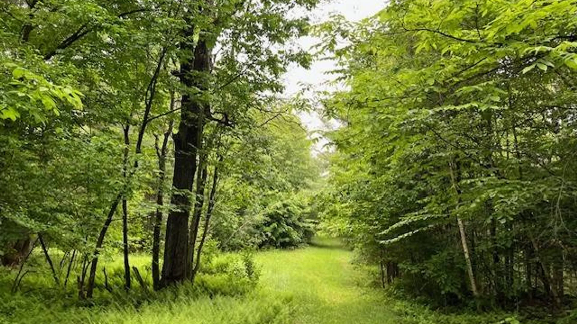 Property at 220 Belden Corners Rd, Dolgeville, NY 13329 45