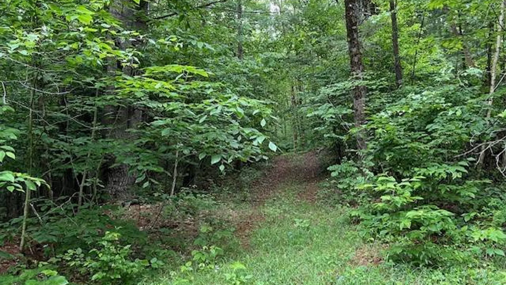 Property at 220 Belden Corners Rd, Dolgeville, NY 13329 46