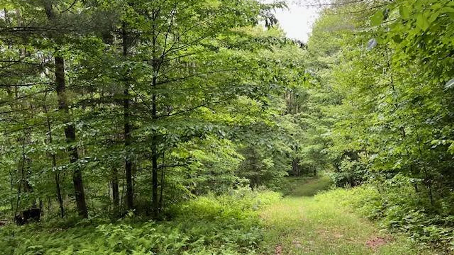 Property at 220 Belden Corners Rd, Dolgeville, NY 13329 48