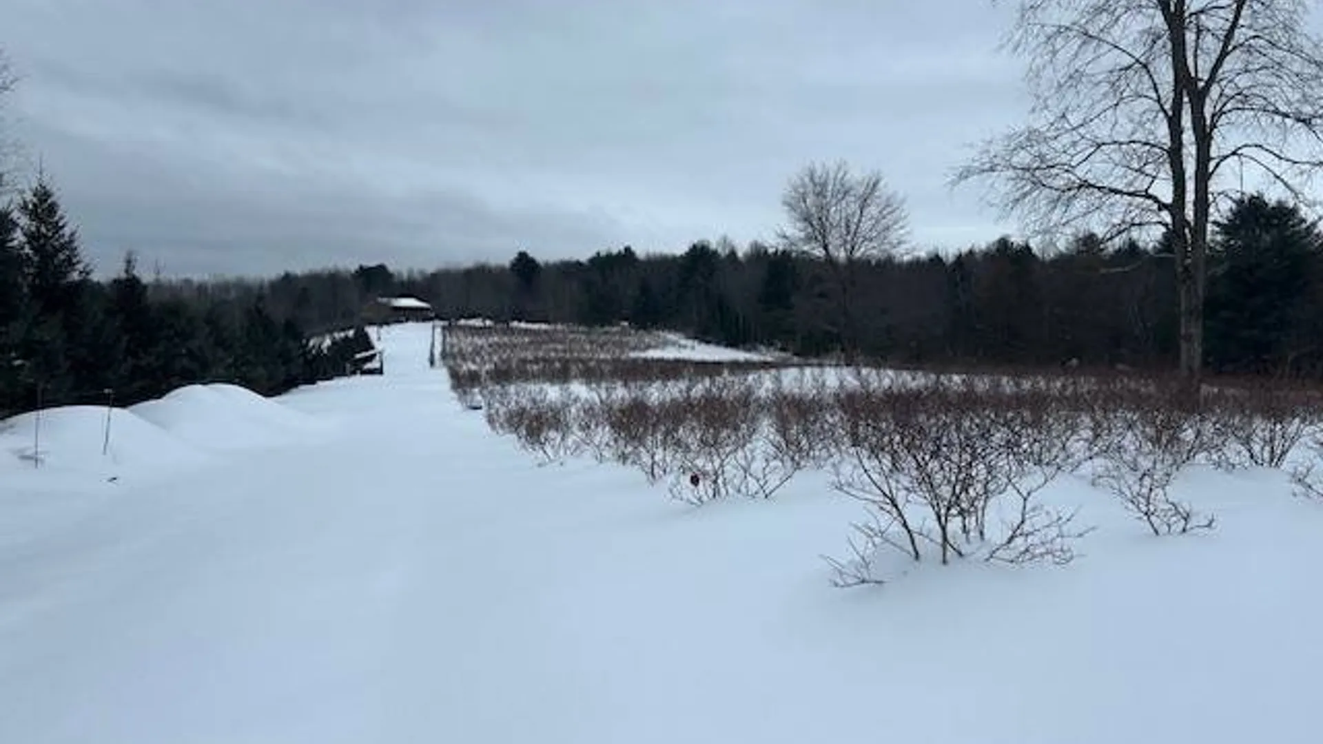 Property at 220 Belden Corners Rd, Dolgeville, NY 13329 55