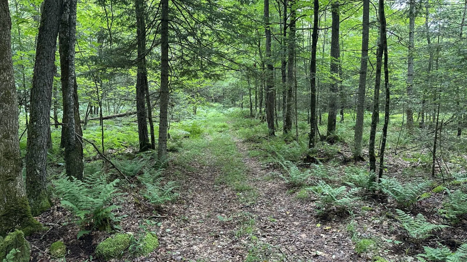 Property at 152 Bryant Siding RD, Owls Head, NY 12969 60