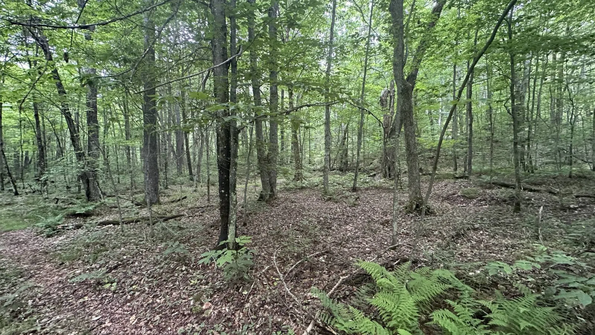 Property at 152 Bryant Siding RD, Owls Head, NY 12969 62