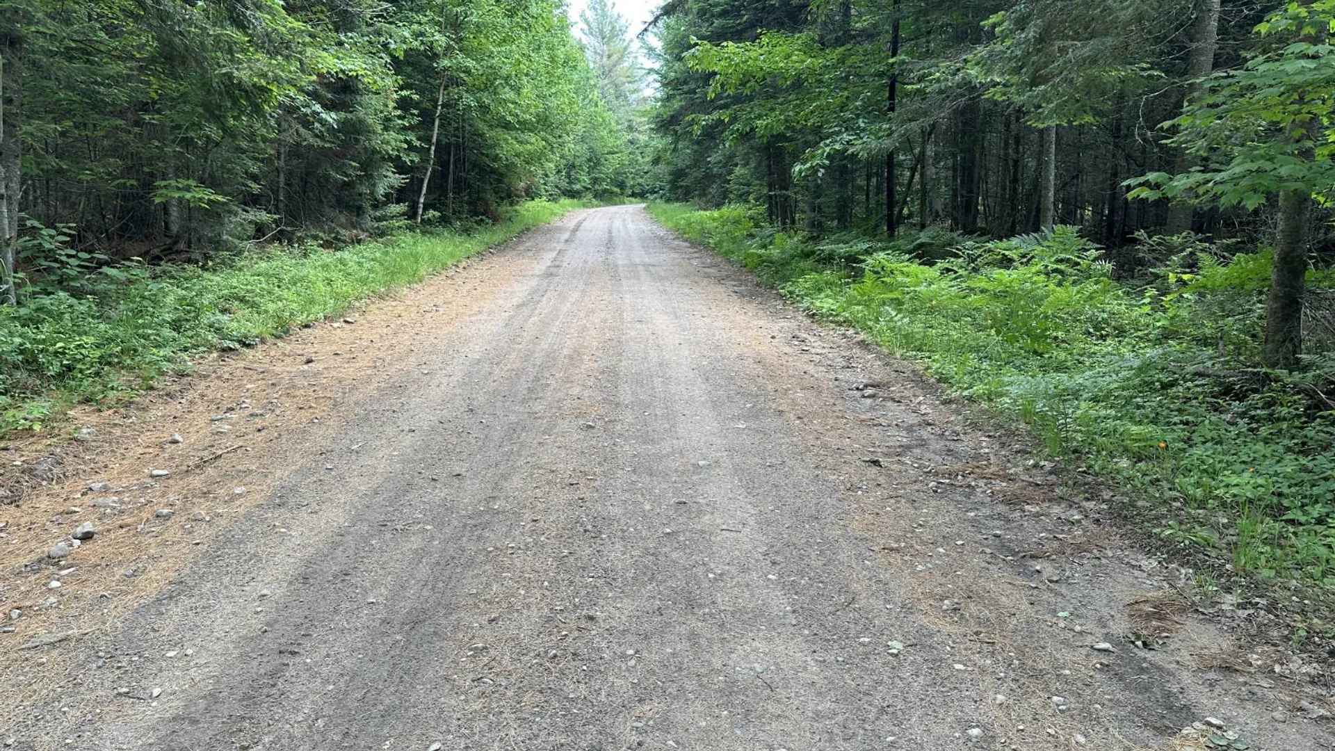 Property at 152 Bryant Siding RD, Owls Head, NY 12969 63