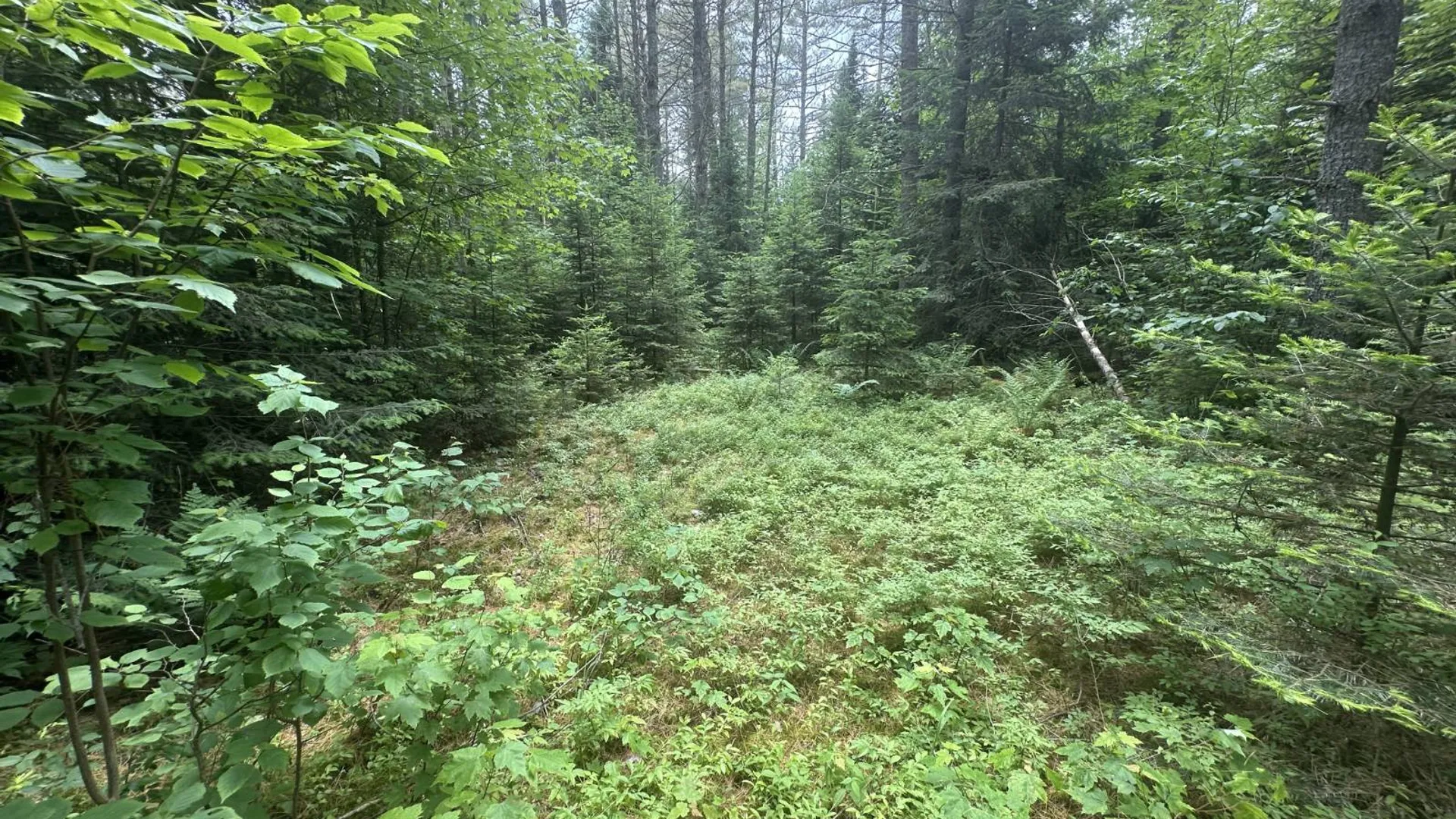 Property at 152 Bryant Siding RD, Owls Head, NY 12969 64