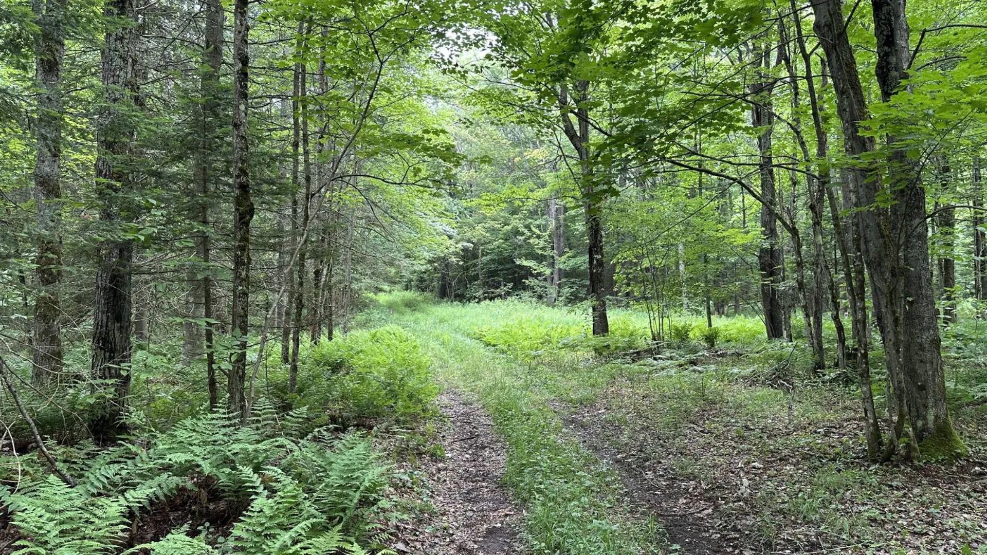 Property at 152 Bryant Siding RD, Owls Head, NY 12969 65