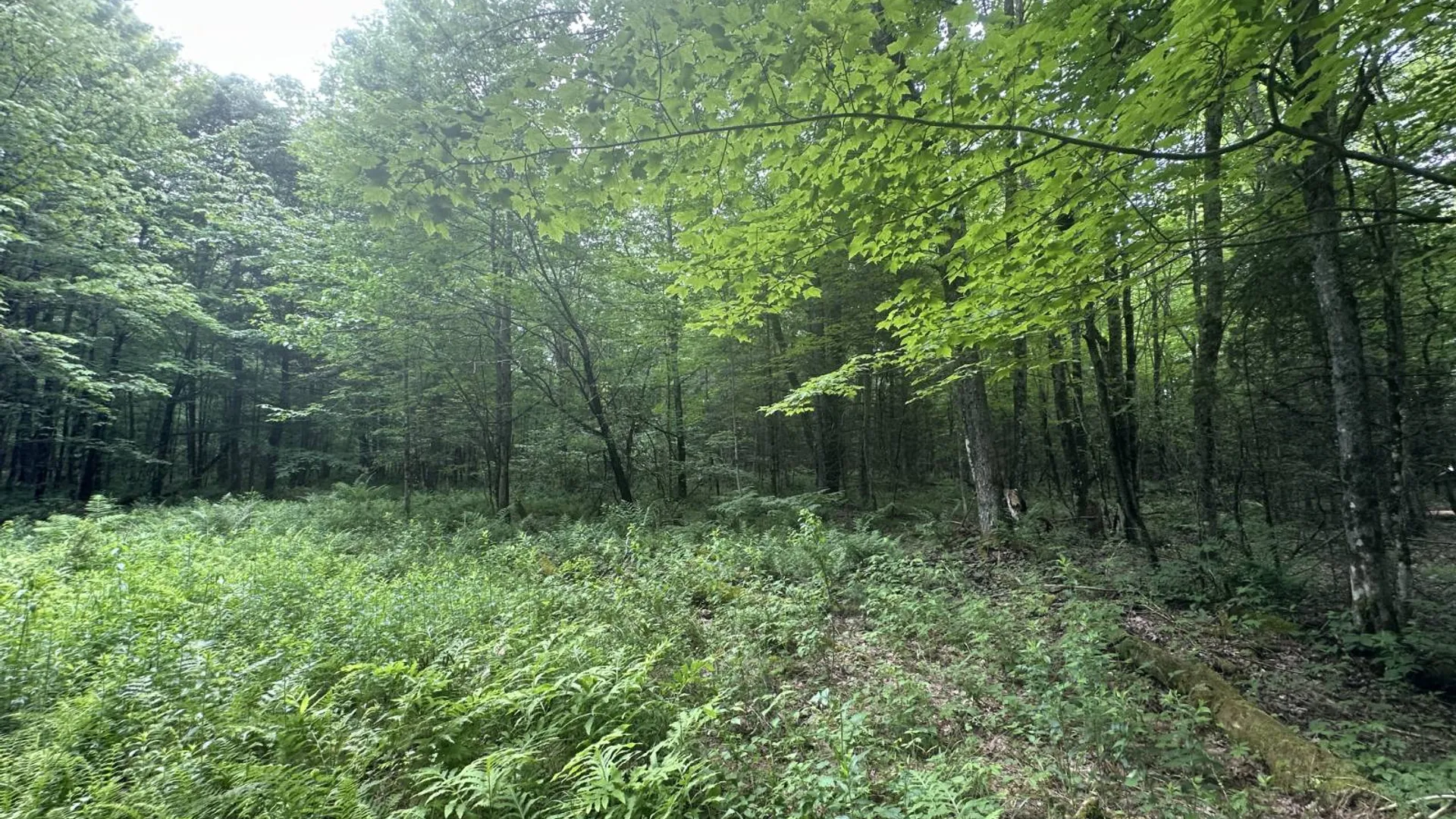 Property at 152 Bryant Siding RD, Owls Head, NY 12969 66