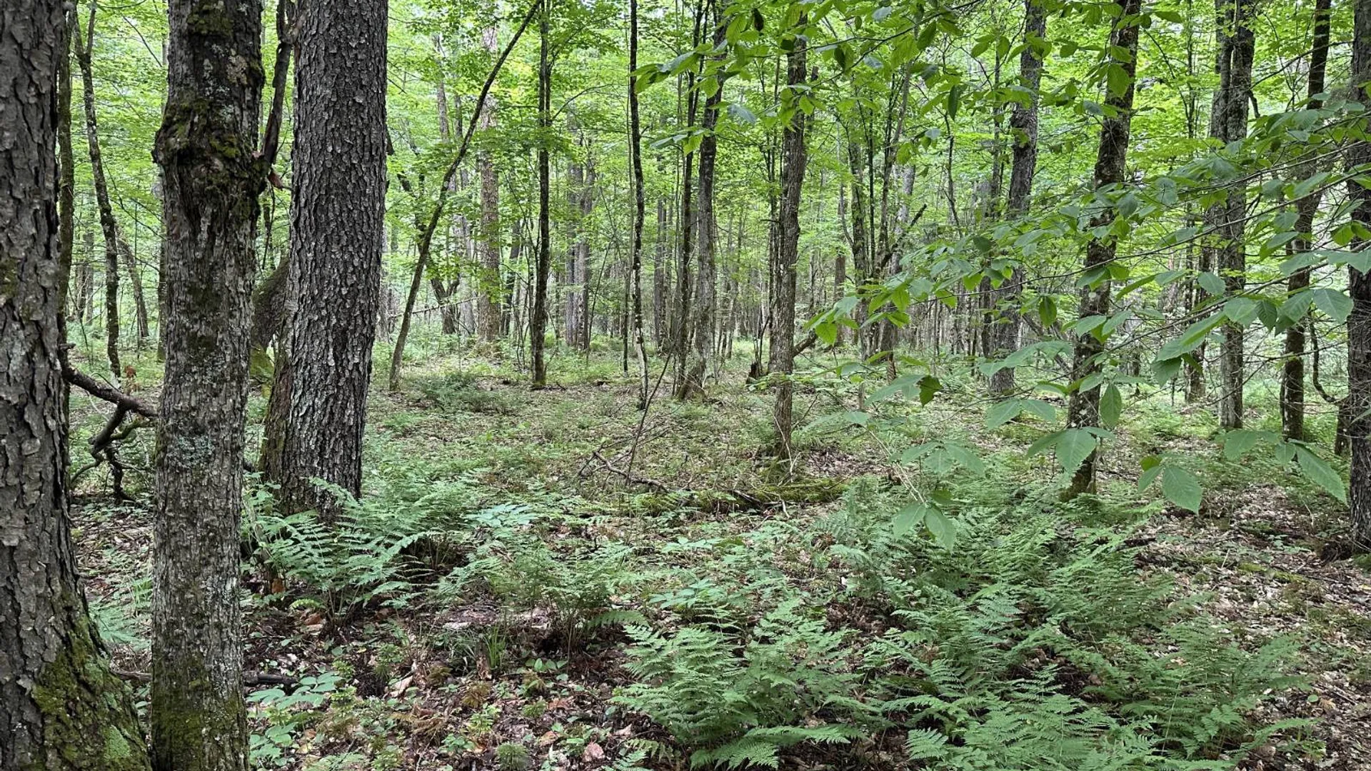 Property at 152 Bryant Siding RD, Owls Head, NY 12969 67