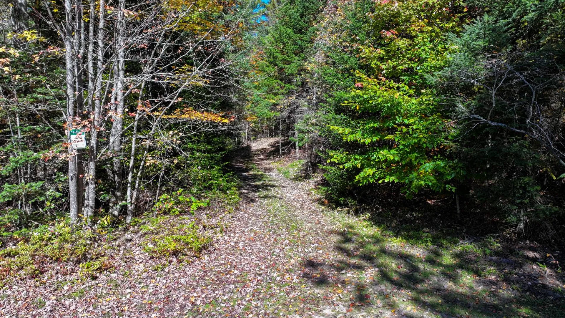 Property at 152 Bryant Siding RD, Owls Head, NY 12969 88