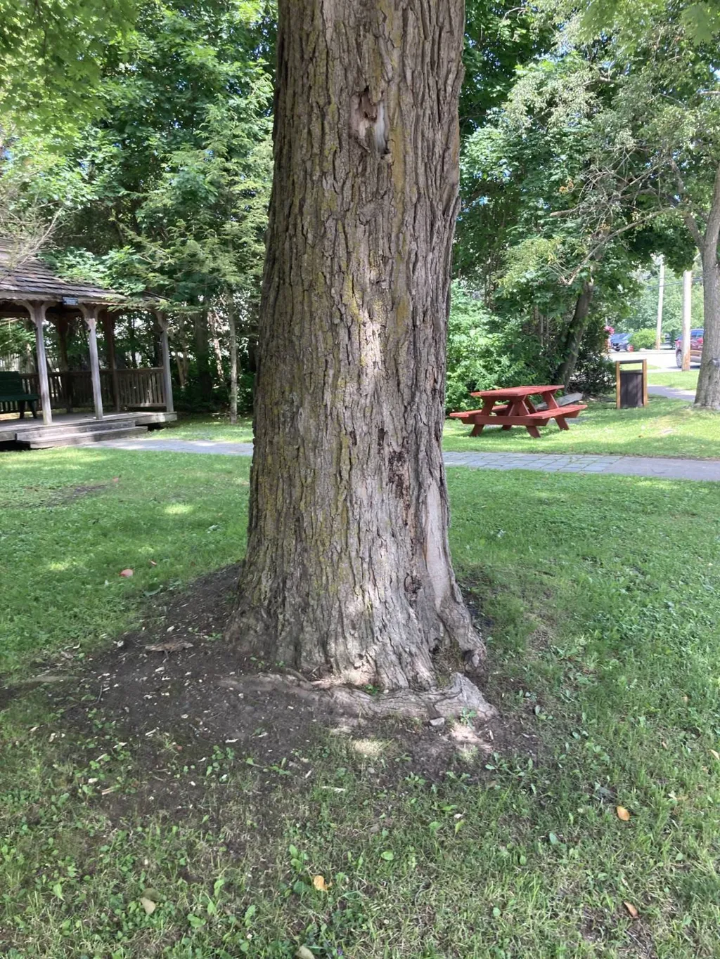 Property at 3 Main Street, Cherry Valley, NY 13320