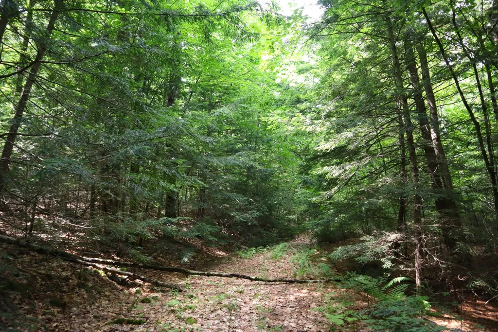Property at 0 Valley Rd, Thurman, NY 12885
