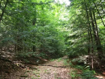 Property at 0 Valley Rd, Thurman, NY 12885
