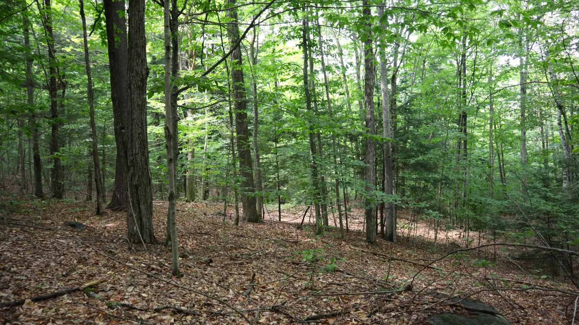 Property at 0 Valley Rd, Thurman, NY 12885 5