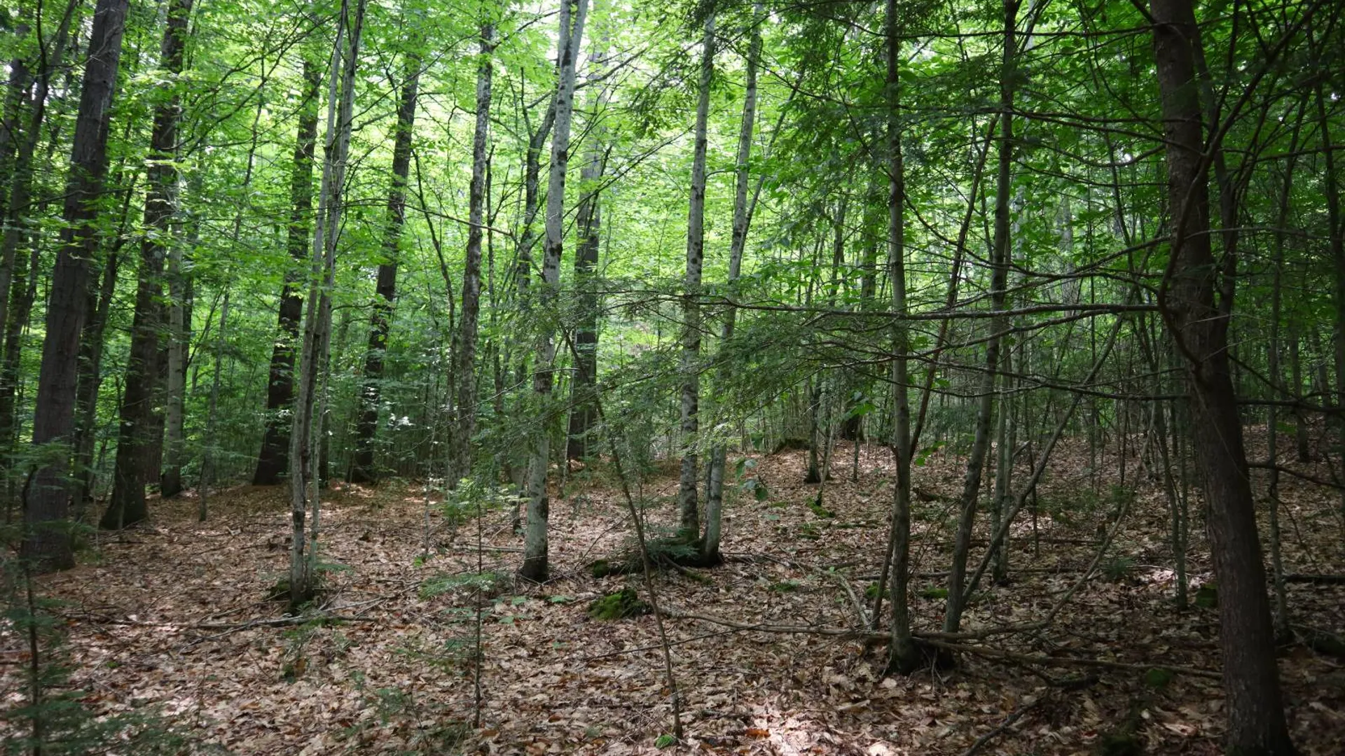 Property at 0 Valley Rd, Thurman, NY 12885 39