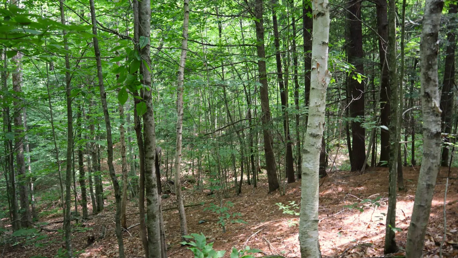 Property at 0 Valley Rd, Thurman, NY 12885 47
