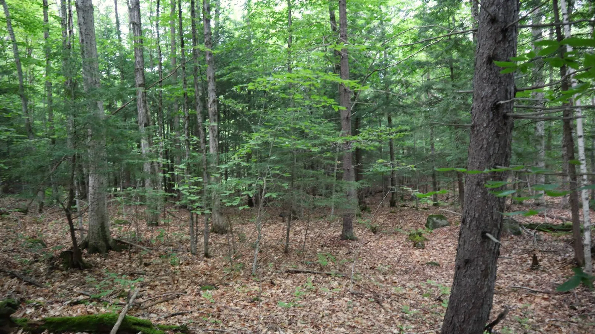 Property at 0 Valley Rd, Thurman, NY 12885 53