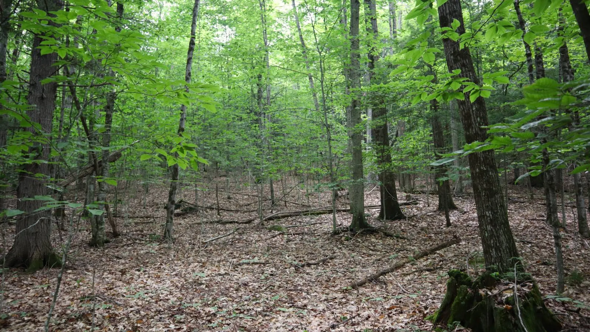 Property at 0 Valley Rd, Thurman, NY 12885 54