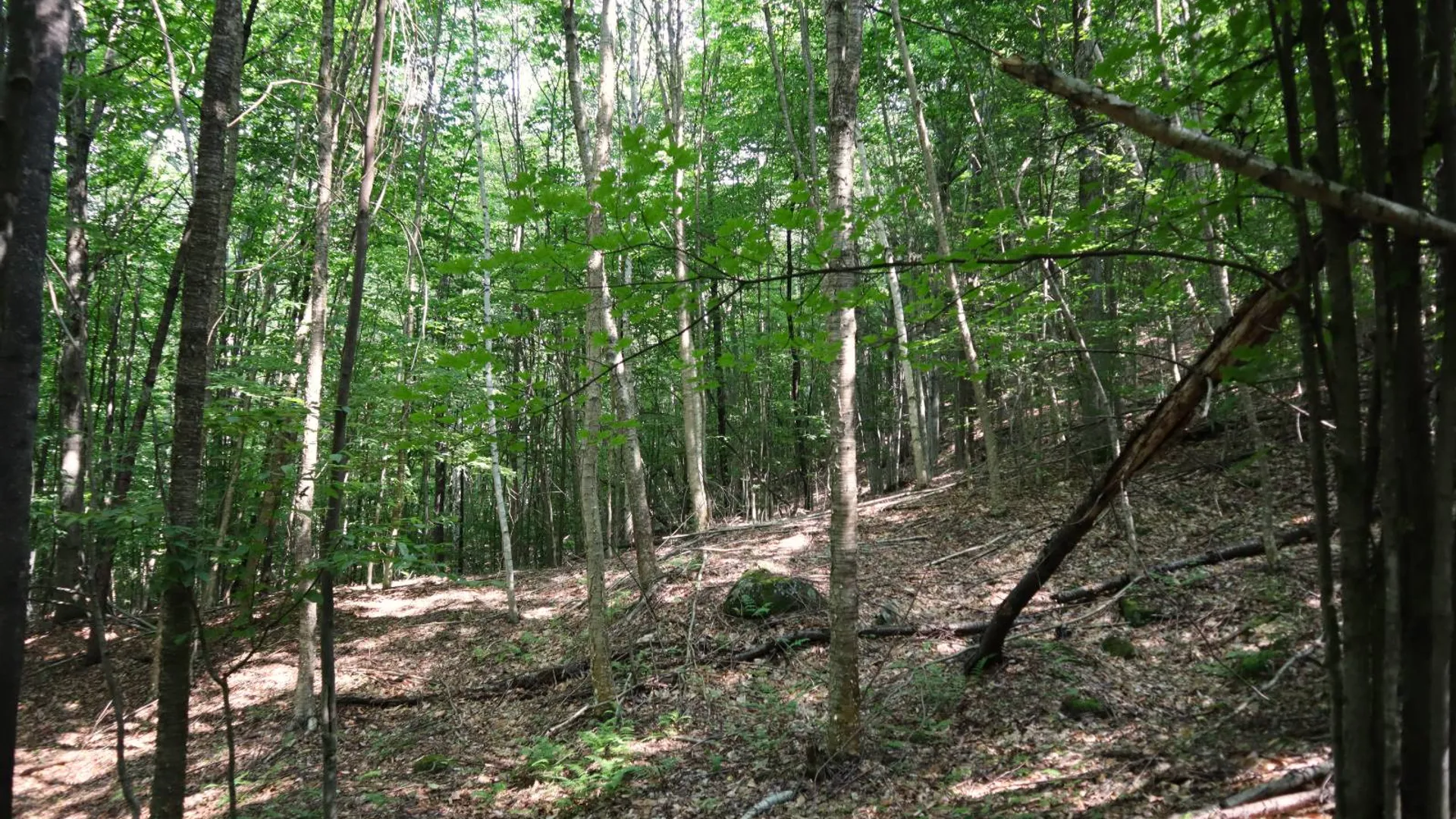 Property at 0 Valley Rd, Thurman, NY 12885 81