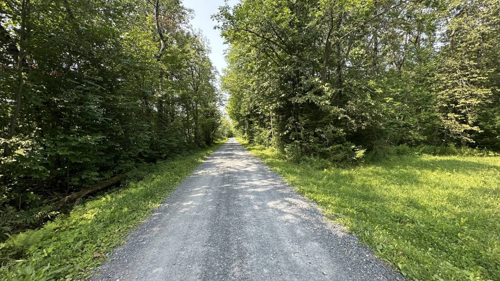 Property at 0 Whalen Rd, Churabusco, NY 12923 5