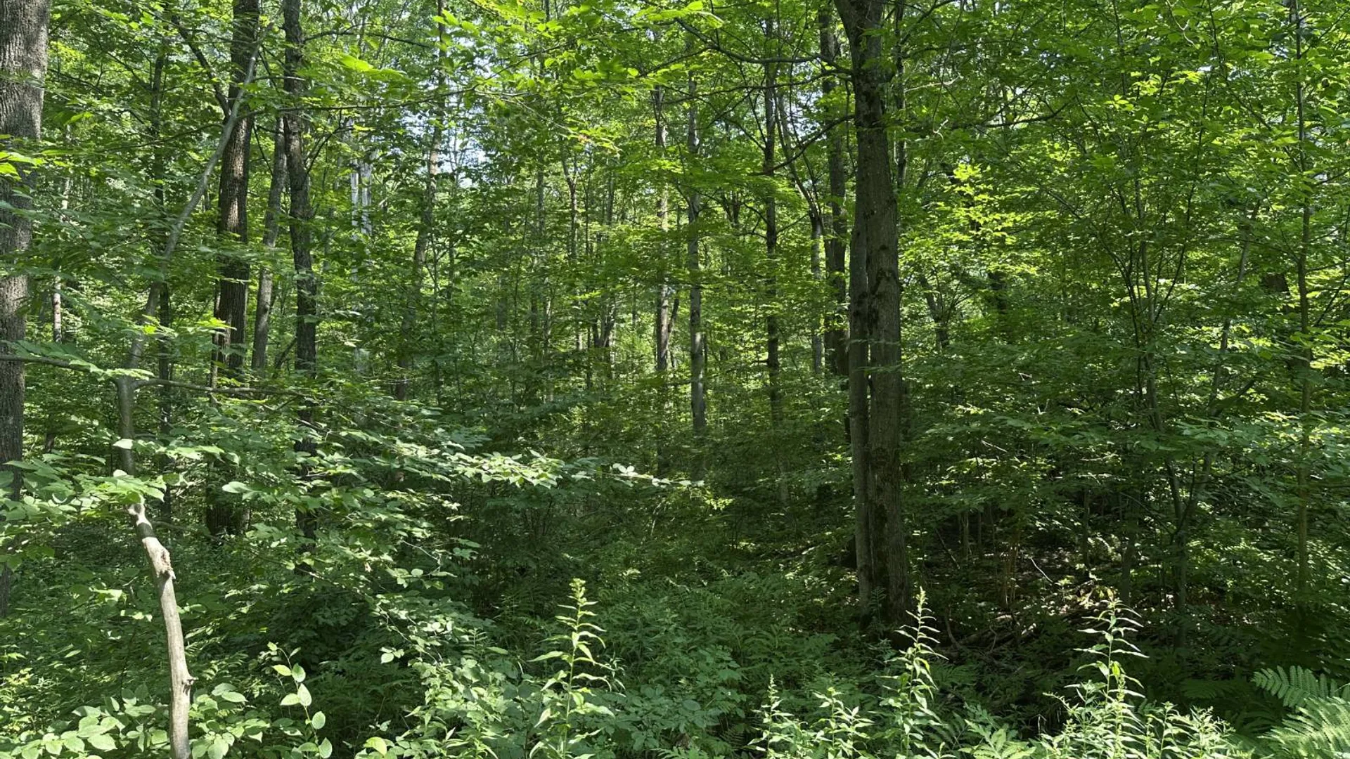 Property at 0 Whalen Rd, Churabusco, NY 12923 48