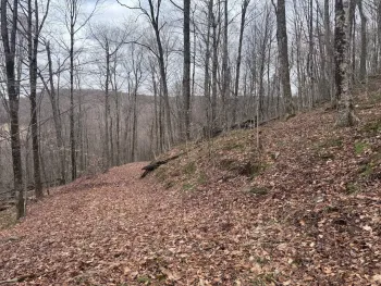 Property at 0 Charlie Wood Road, Delhi, NY 13752