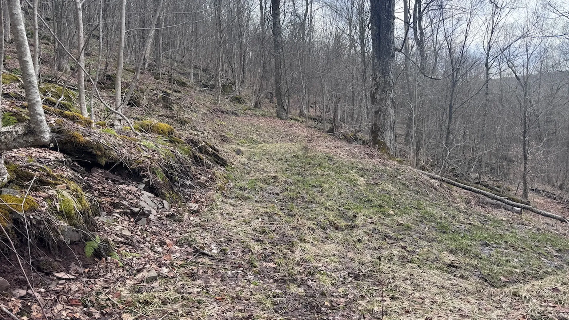 Property at 0 Charlie Wood Road, Delhi, NY 13752 5