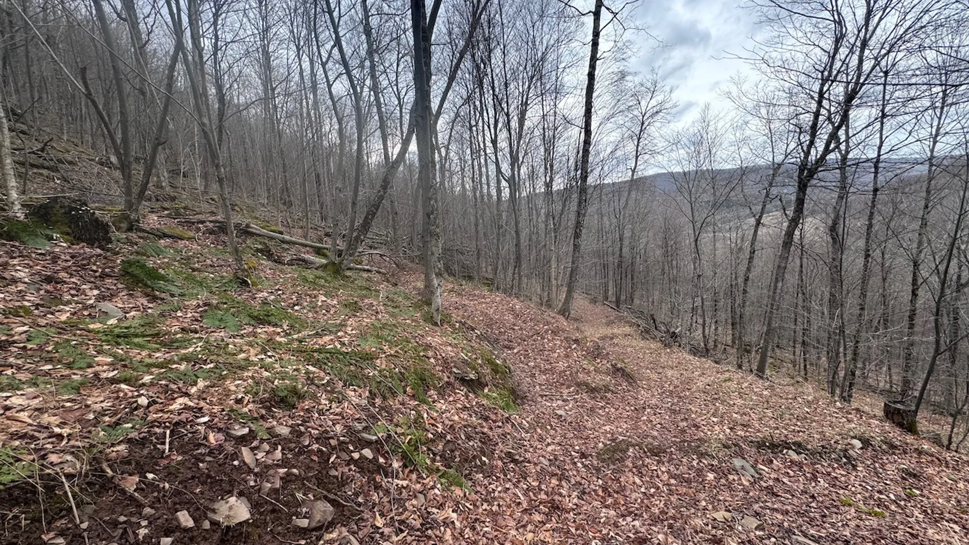Property at 0 Charlie Wood Road, Delhi, NY 13752 7