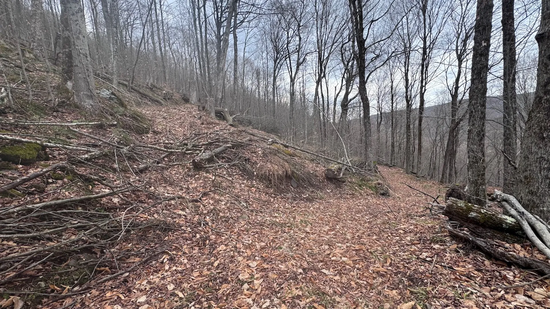 Property at 0 Charlie Wood Road, Delhi, NY 13752 8