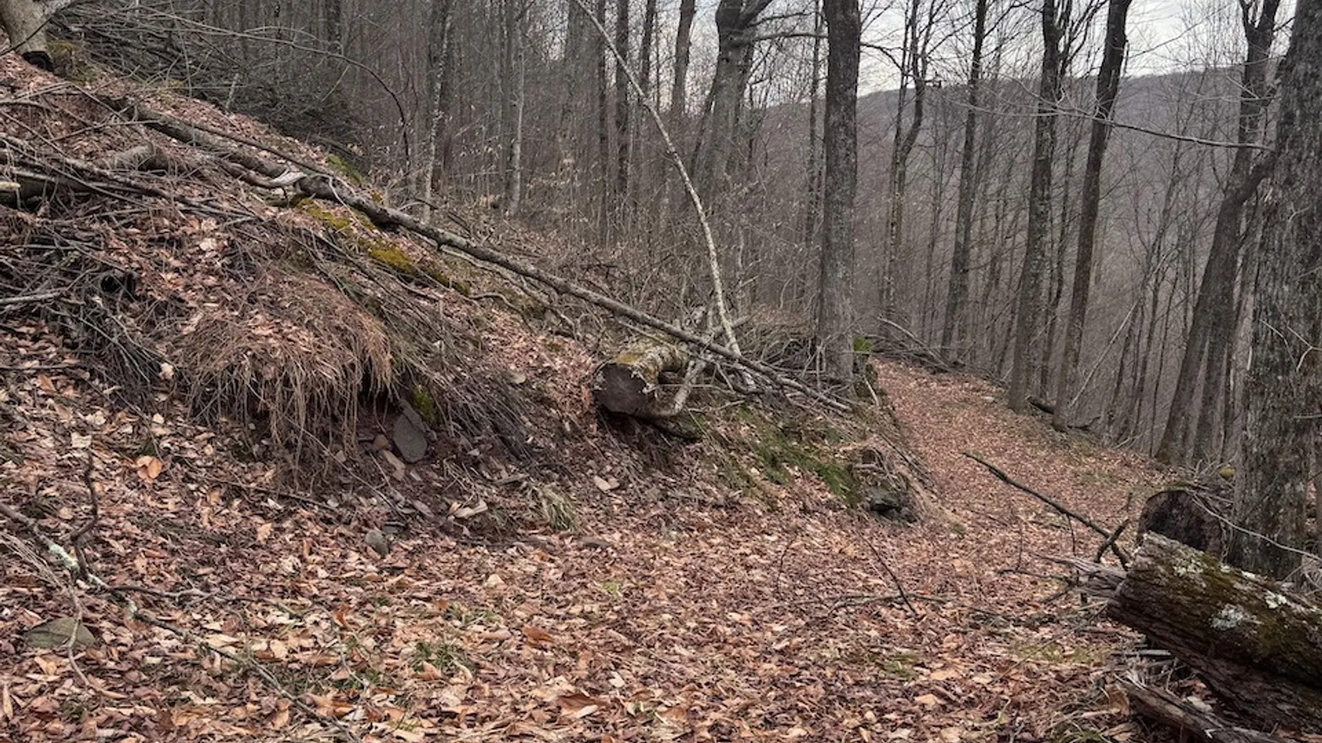 Property at 0 Charlie Wood Road, Delhi, NY 13752 9