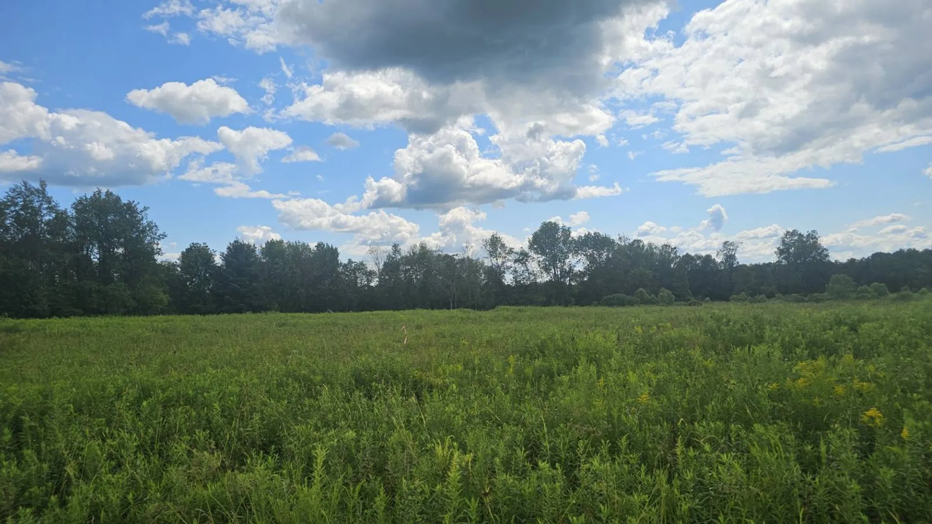 Property at 8083 Link Rd, Rome, NY 13440 5
