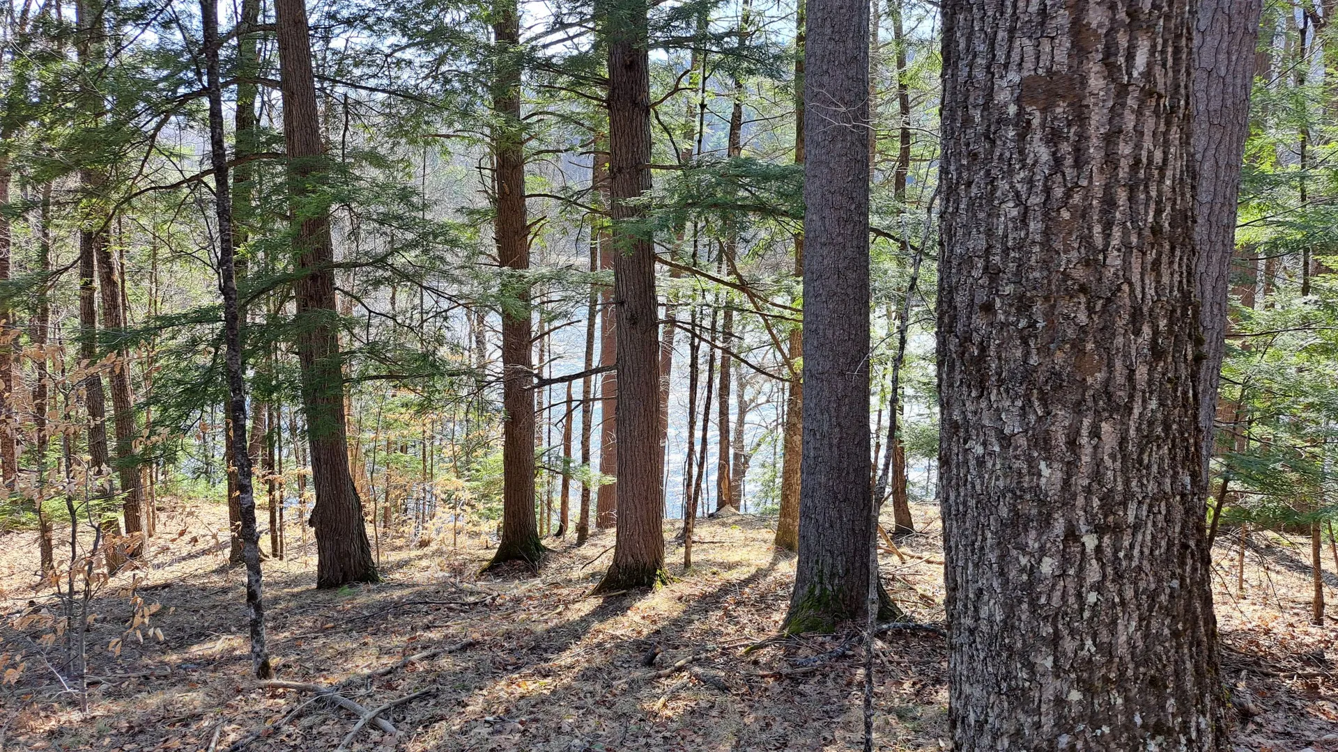 Property at State Route 28, Chestertown, NY 12817 16