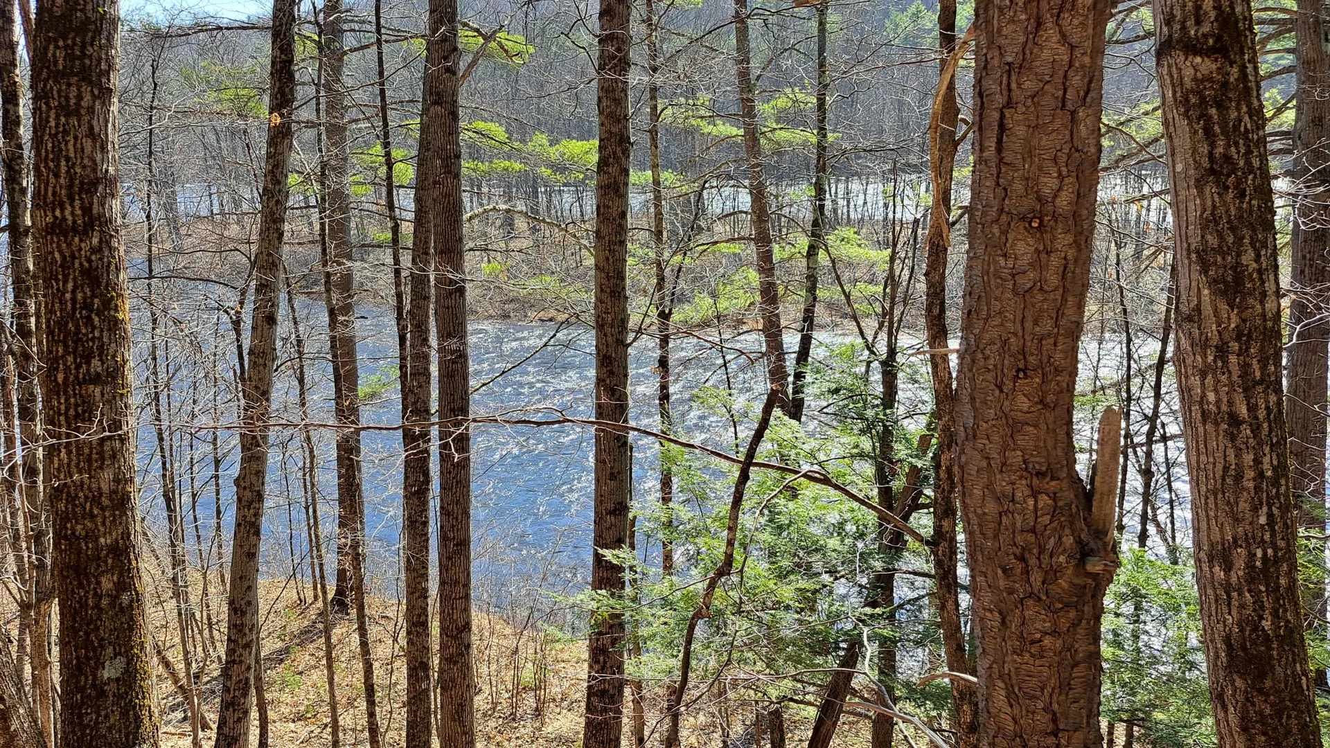 Property at State Route 28, Chestertown, NY 12817 20