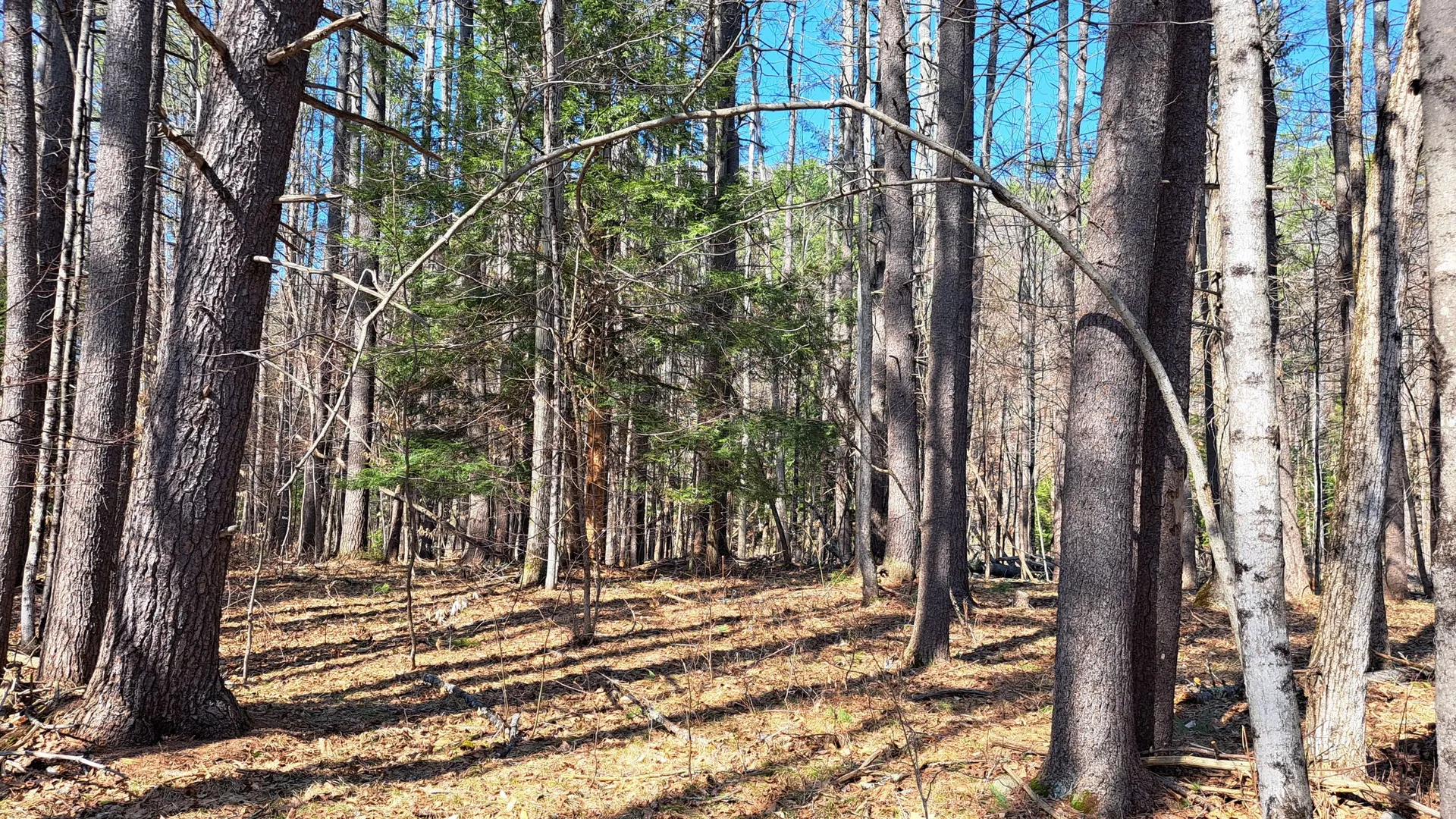 Property at State Route 28, Chestertown, NY 12817 21