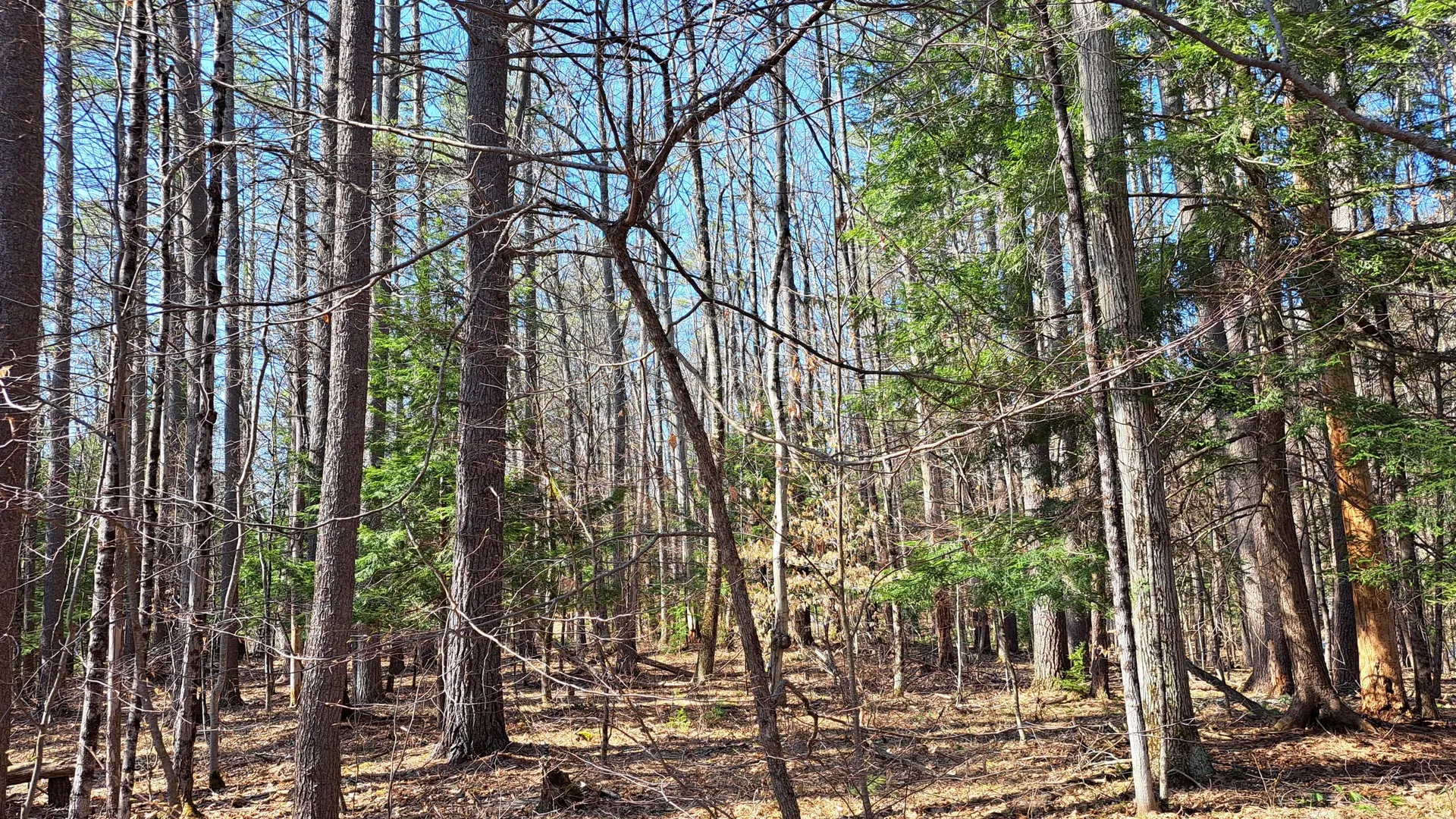 Property at State Route 28, Chestertown, NY 12817 22