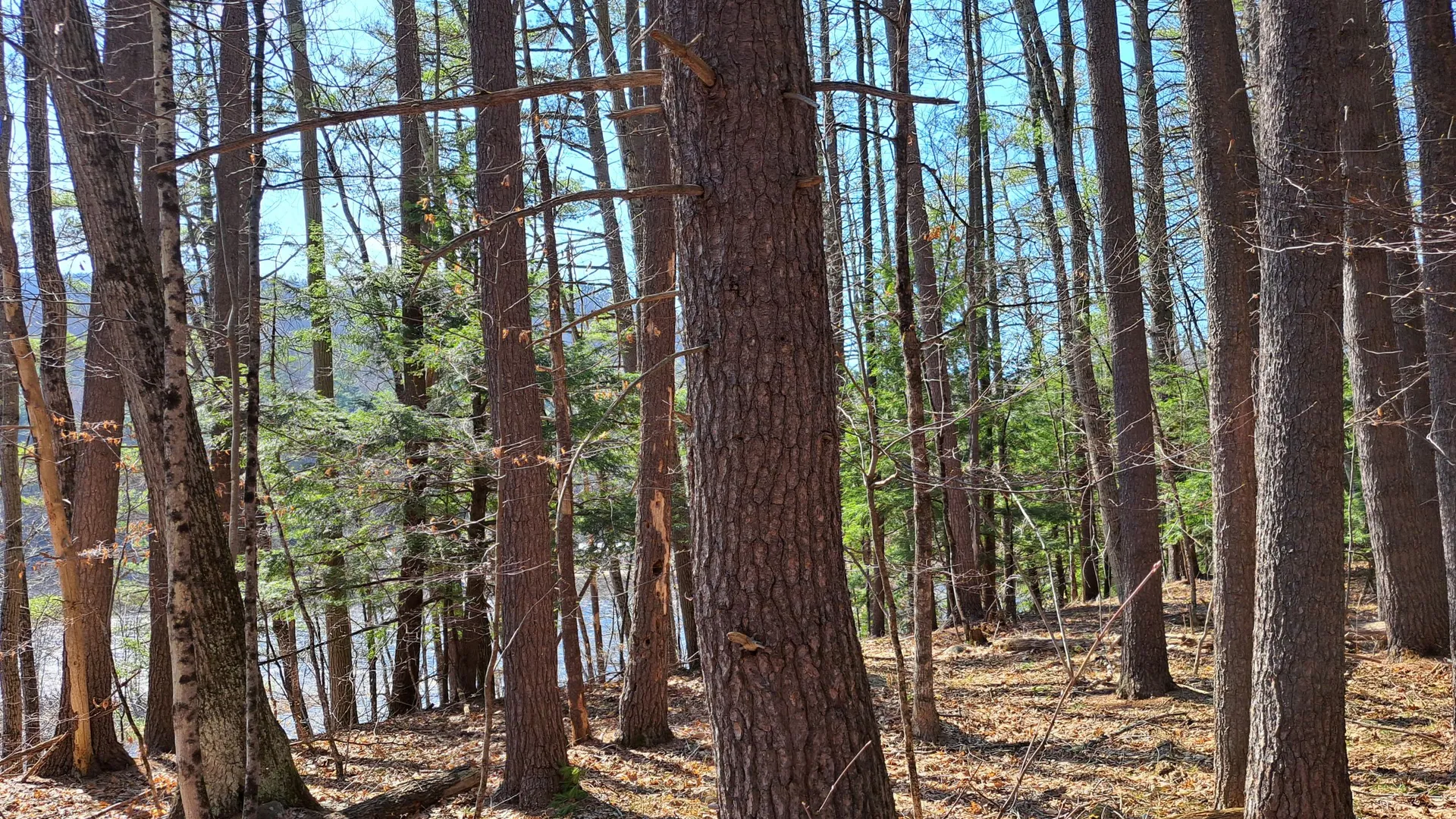 Property at State Route 28, Chestertown, NY 12817 23