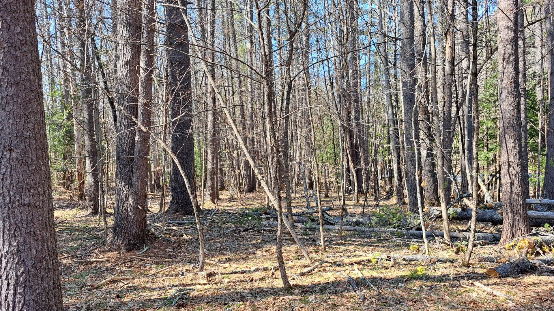 Property at State Route 28, Chestertown, NY 12817 24