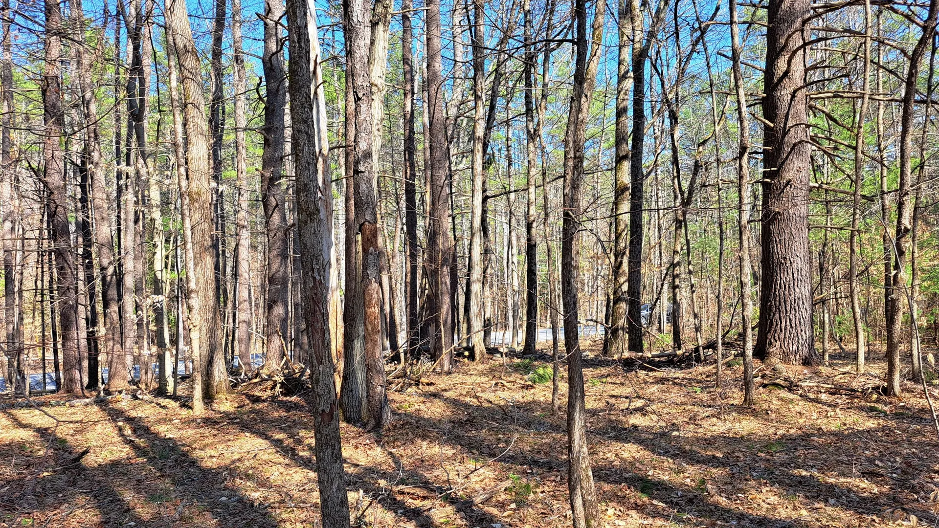 Property at State Route 28, Chestertown, NY 12817 25