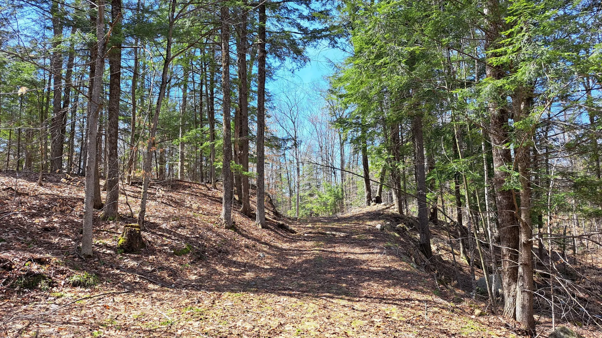 Property at State Route 28, Chestertown, NY 12817 29
