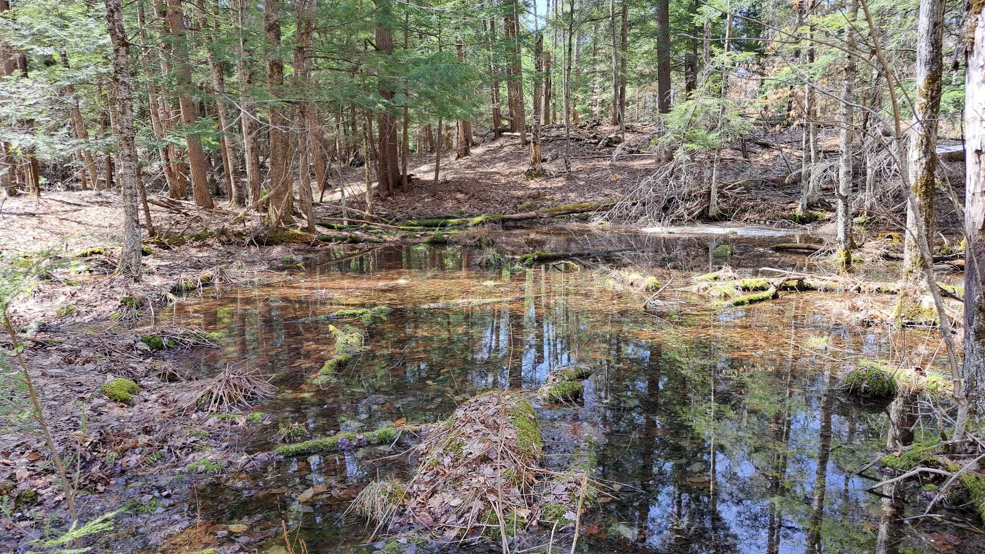 Property at State Route 28, Chestertown, NY 12817 32