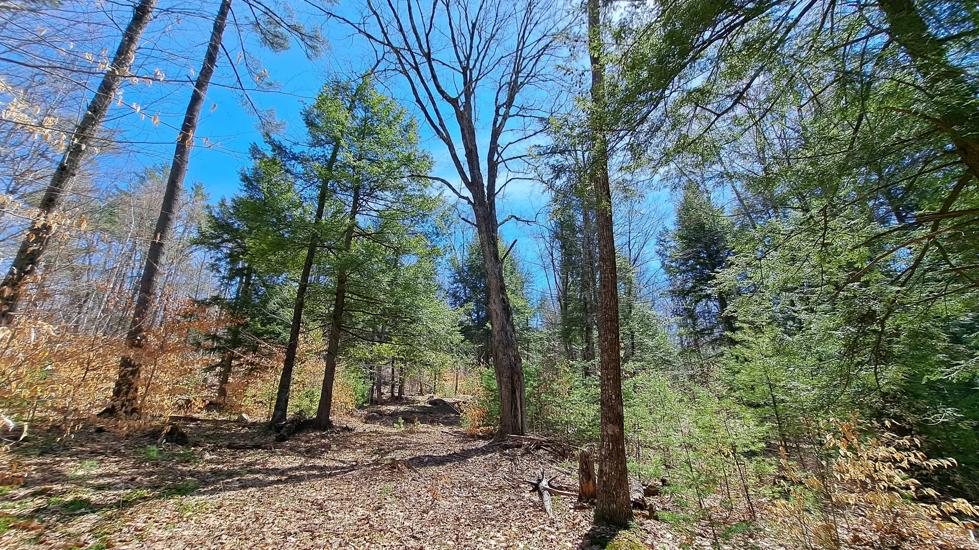 Property at State Route 28, Chestertown, NY 12817 33